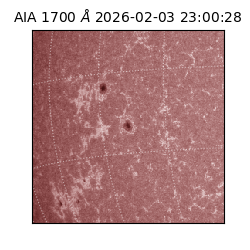 saia - 2026-02-03T23:00:28.717000