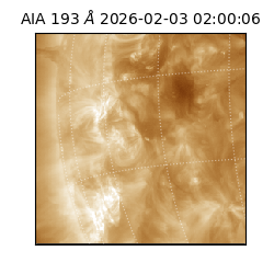 saia - 2026-02-03T02:00:06.431000