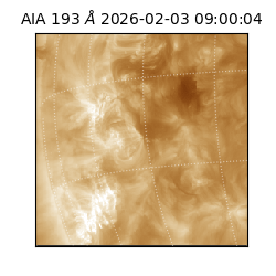 saia - 2026-02-03T09:00:04.835000