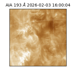 saia - 2026-02-03T16:00:04.843000