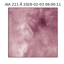 saia - 2026-02-03T06:00:11.931000