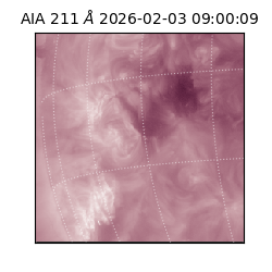 saia - 2026-02-03T09:00:09.625000