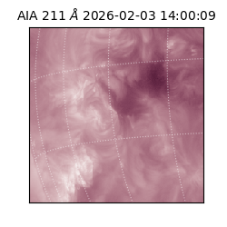 saia - 2026-02-03T14:00:09.619000