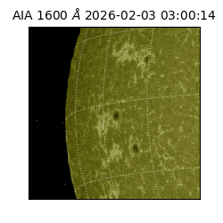 saia - 2026-02-03T03:00:14.126000