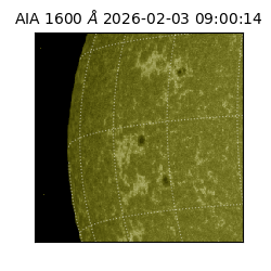 saia - 2026-02-03T09:00:14.118000