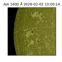 saia - 2026-02-03T13:00:14.125000