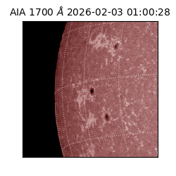 saia - 2026-02-03T01:00:28.717000