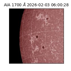 saia - 2026-02-03T06:00:28.717000