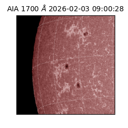 saia - 2026-02-03T09:00:28.717000