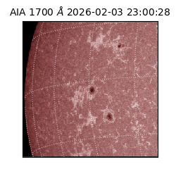 saia - 2026-02-03T23:00:28.717000