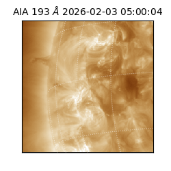 saia - 2026-02-03T05:00:04.838000