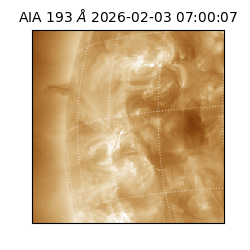 saia - 2026-02-03T07:00:07.033000