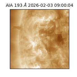 saia - 2026-02-03T09:00:04.835000