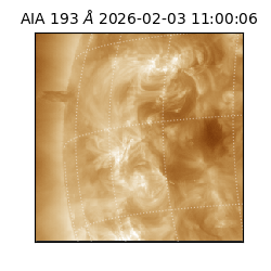 saia - 2026-02-03T11:00:06.232000