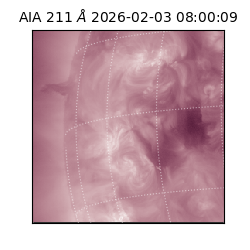 saia - 2026-02-03T08:00:09.631000