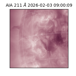 saia - 2026-02-03T09:00:09.625000