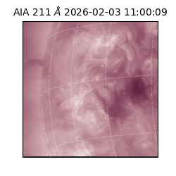 saia - 2026-02-03T11:00:09.634000