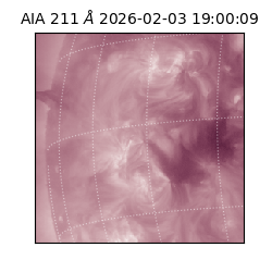 saia - 2026-02-03T19:00:09.632000