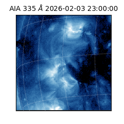 saia - 2026-02-03T23:00:00.625000