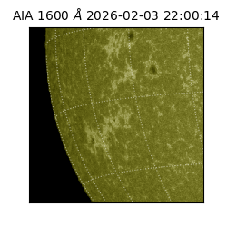 saia - 2026-02-03T22:00:14.126000