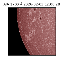 saia - 2026-02-03T12:00:28.721000