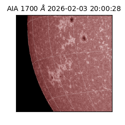 saia - 2026-02-03T20:00:28.710000