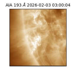 saia - 2026-02-03T03:00:04.843000