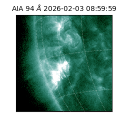 saia - 2026-02-03T08:59:59.122000