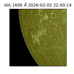 saia - 2026-02-03T22:00:14.126000