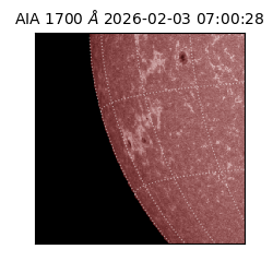 saia - 2026-02-03T07:00:28.721000