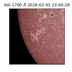 saia - 2026-02-03T23:00:28.717000