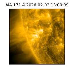 saia - 2026-02-03T13:00:09.349000