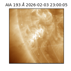 saia - 2026-02-03T23:00:05.820000