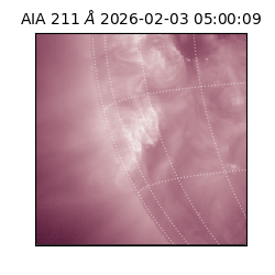 saia - 2026-02-03T05:00:09.626000