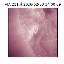 saia - 2026-02-03T14:00:09.619000