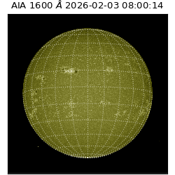 saia - 2026-02-03T08:00:14.126000