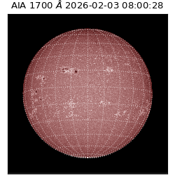 saia - 2026-02-03T08:00:28.710000