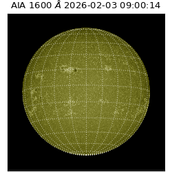 saia - 2026-02-03T09:00:14.118000
