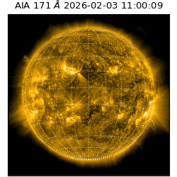 saia - 2026-02-03T11:00:09.350000