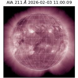 saia - 2026-02-03T11:00:09.634000