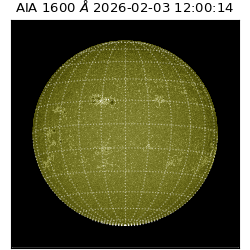 saia - 2026-02-03T12:00:14.126000