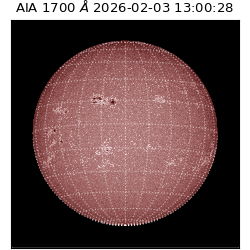 saia - 2026-02-03T13:00:28.719000
