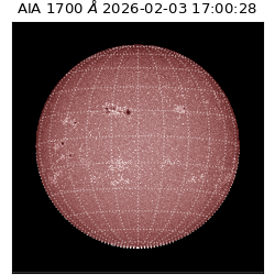 saia - 2026-02-03T17:00:28.717000