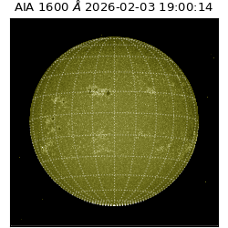 saia - 2026-02-03T19:00:14.126000