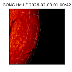 gong - 2026-02-03T01:00:42