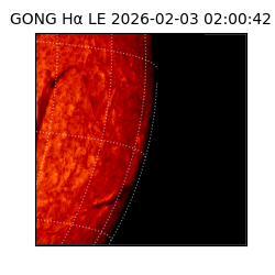 gong - 2026-02-03T02:00:42