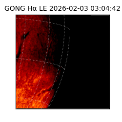 gong - 2026-02-03T03:04:42