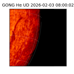 gong - 2026-02-03T08:00:02