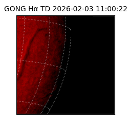 gong - 2026-02-03T11:00:22