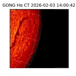 gong - 2026-02-03T14:00:42